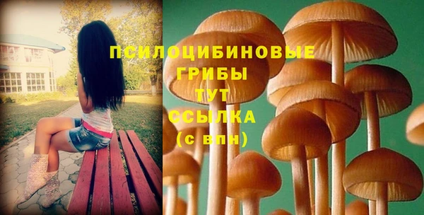 apvp Киренск